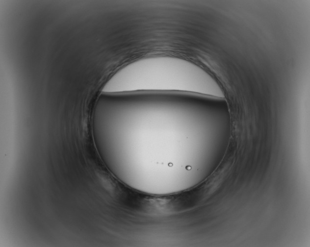 X0000088430265200705220900