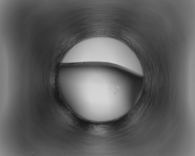 X0000088430268200705220900