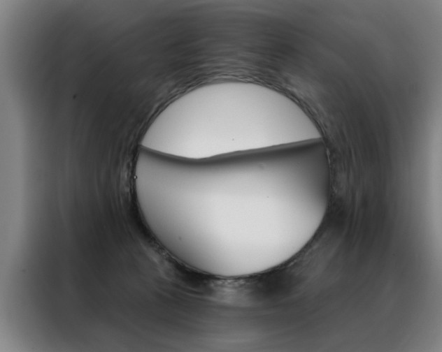 X0000088430273200705220900