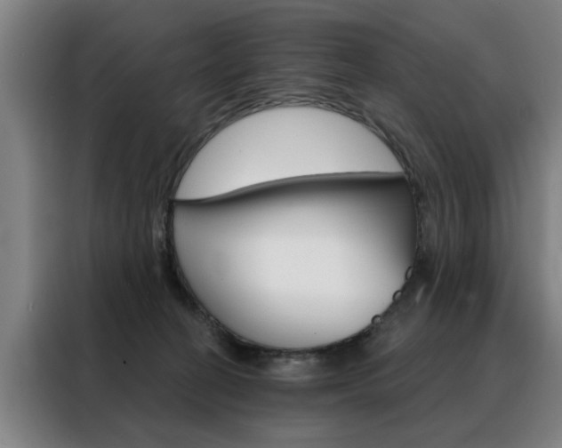 X0000088430274200705220900
