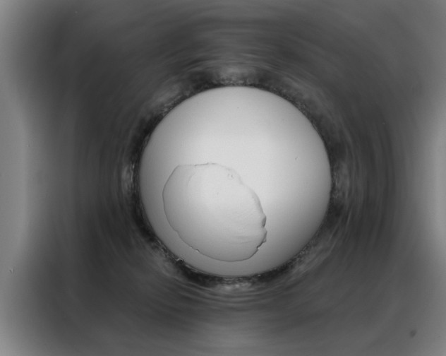 X0000088430278200705220900