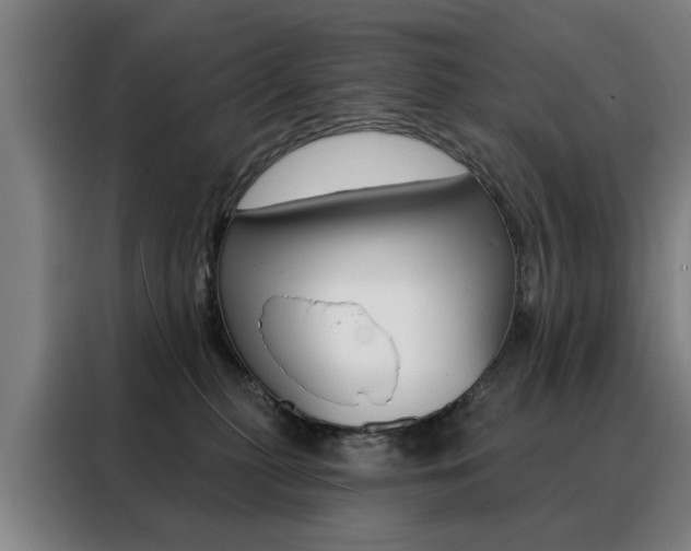 X0000088430279200705220900