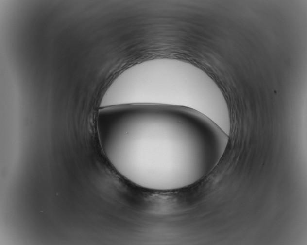 X0000088430280200705220900