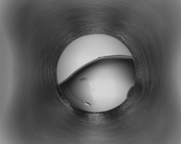 X0000088430281200705220900