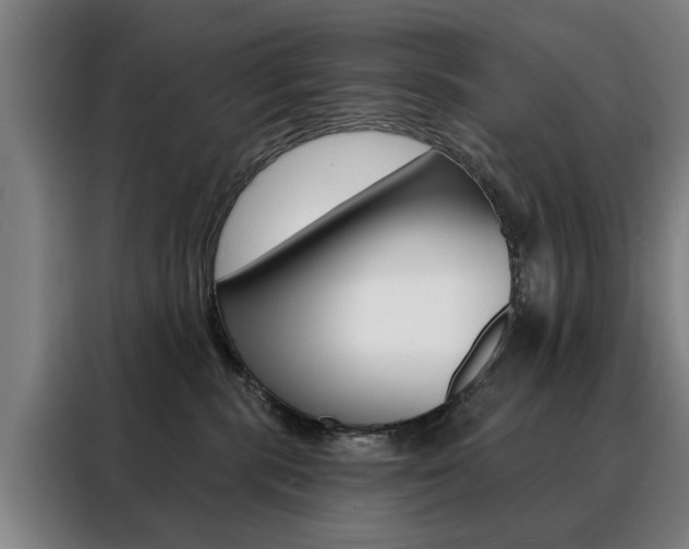 X0000088430283200705220900