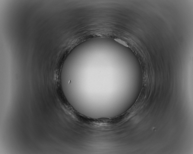 X0000088430284200705220900