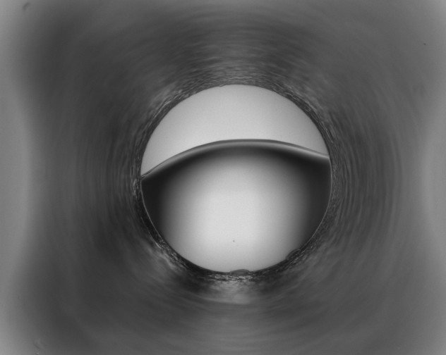 X0000088430288200705220900