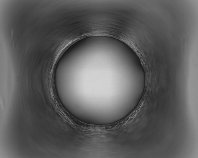 X0000088430289200705220900