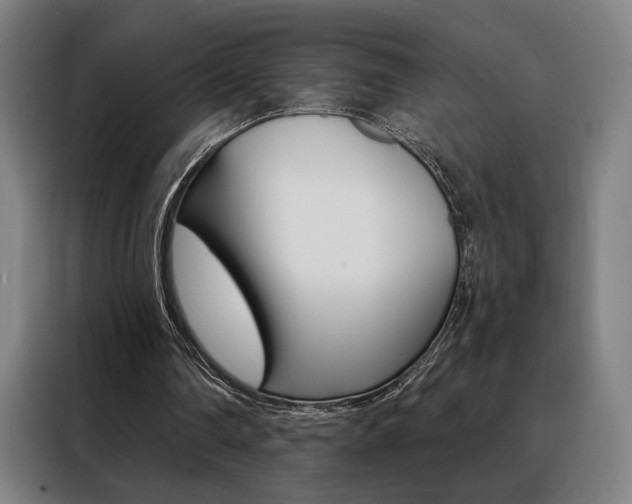 X0000088430290200705220900