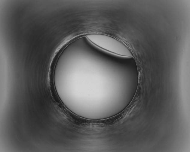X0000088430292200705220900