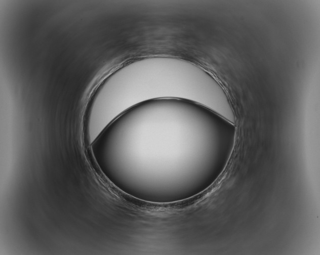 X0000088430293200705220900