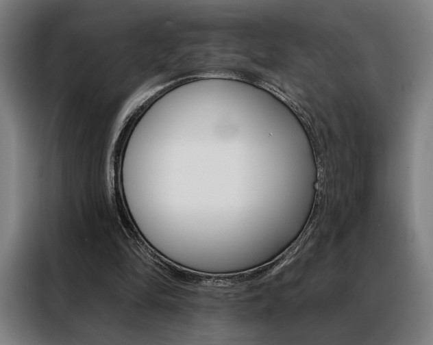 X0000088430294200705220900