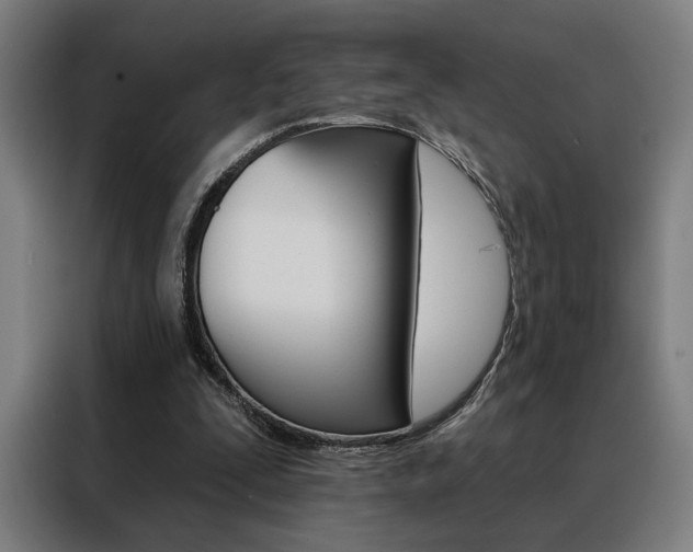 X0000088430295200705220900