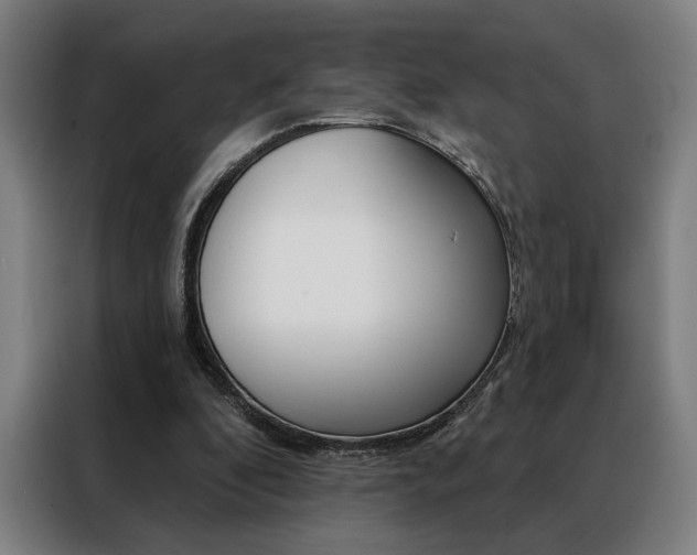 X0000088430296200705220900