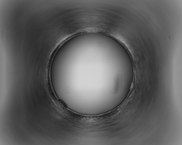 X0000088430297200705220900