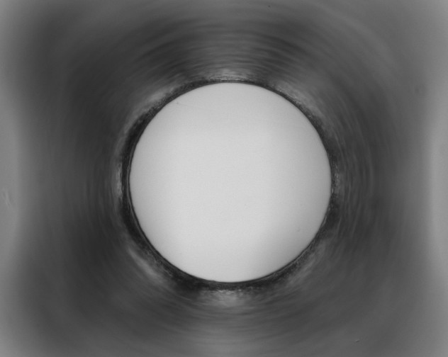X0000088430302200705220900
