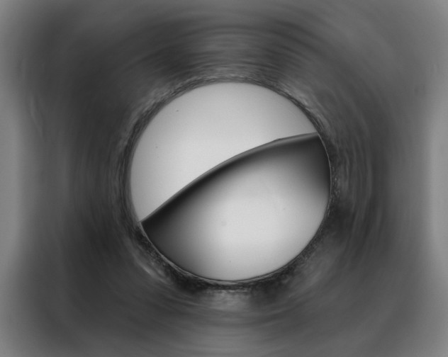 X0000088430303200705220900