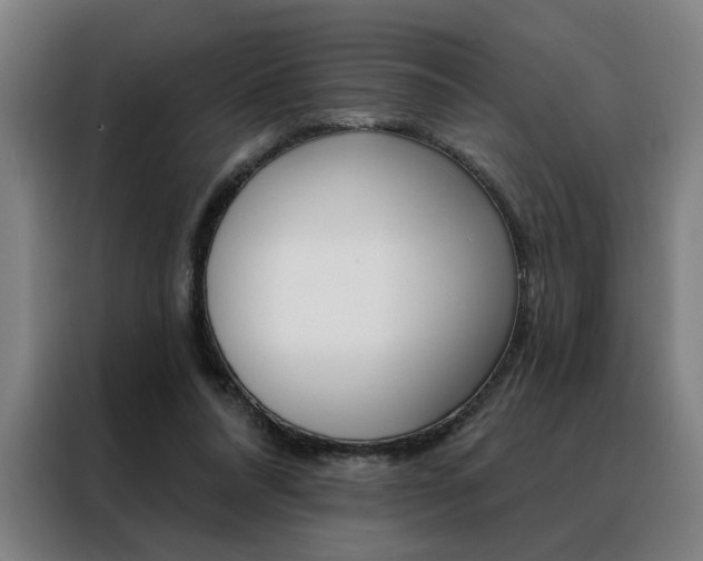 X0000088430304200705220900