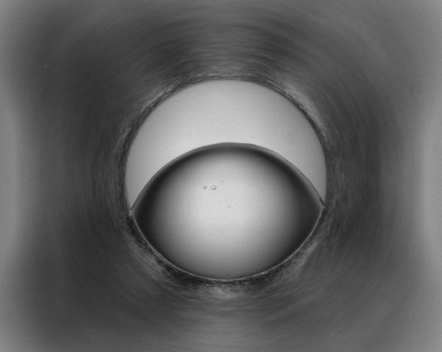 X0000088430305200705220900