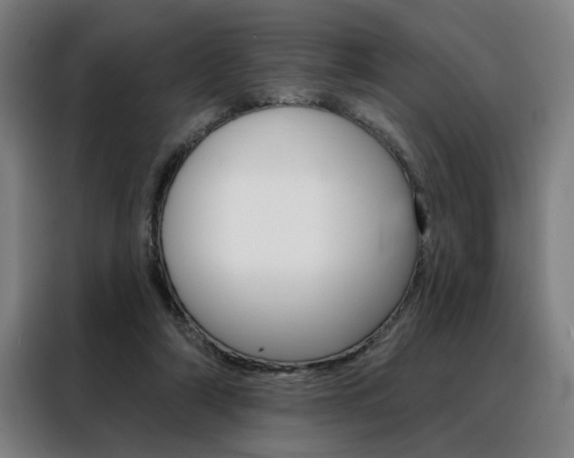 X0000088430306200705220900