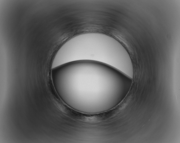 X0000088430309200705220859