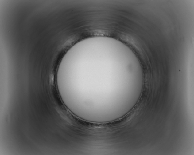 X0000088430310200705220859