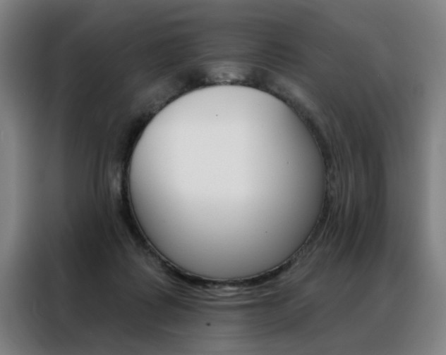 X0000088430315200705220859