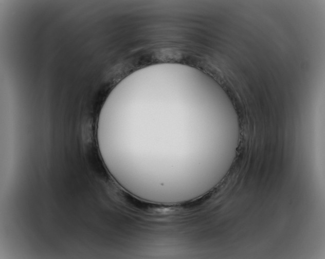 X0000088430323200705220859