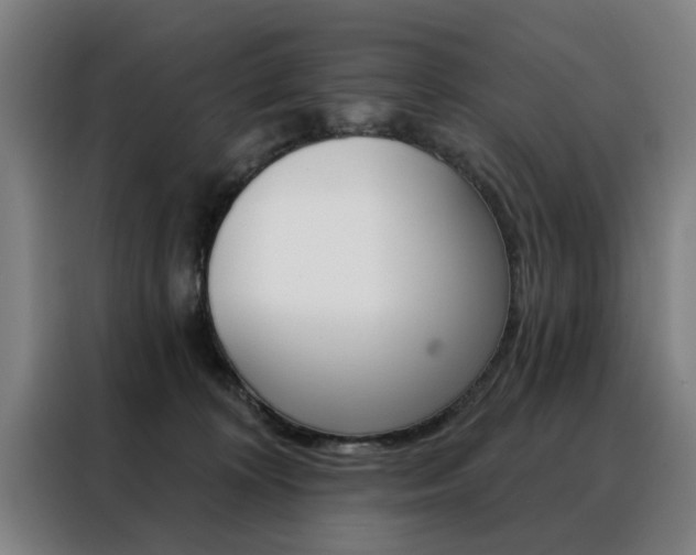 X0000088430324200705220859