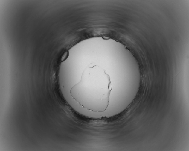 X0000088430327200705220859
