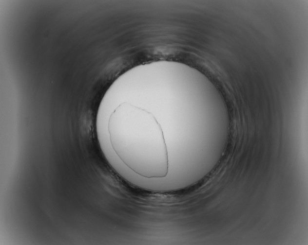 X0000088430328200705220859