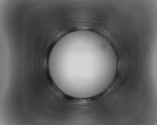 X0000088430330200705220859