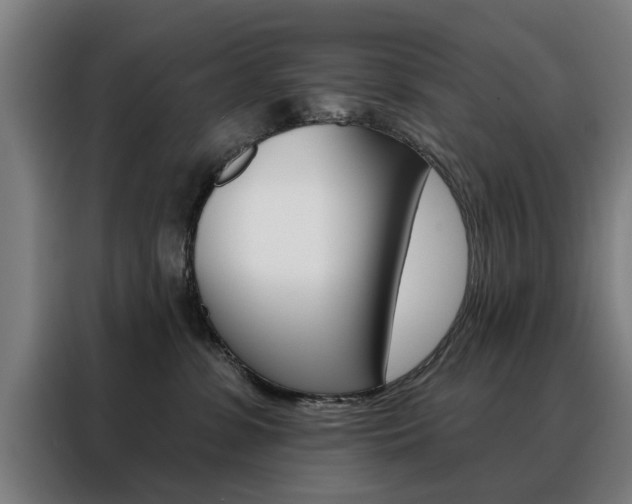 X0000088430331200705220859