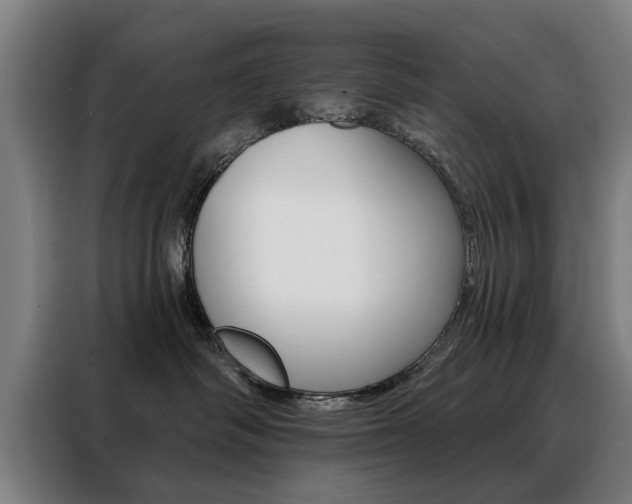 X0000088430334200705220859