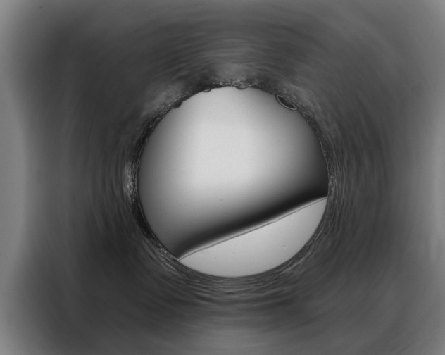 X0000088430335200705220859