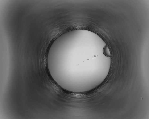 X0000088430336200705220859