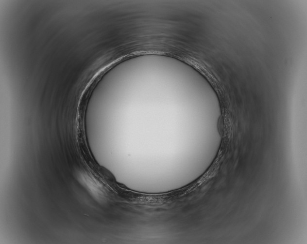 X0000088430338200705220859