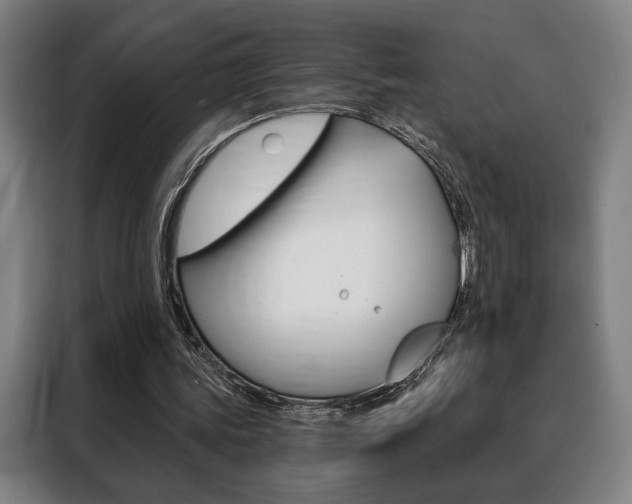 X0000088430339200705220859