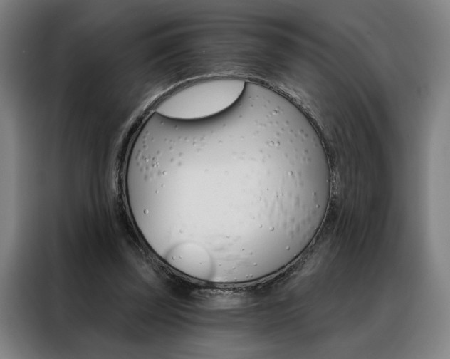 X0000088430347200705220859