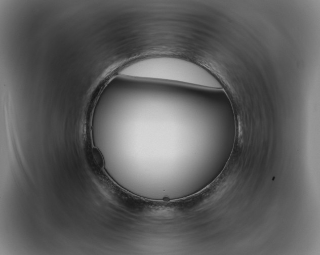 X0000088430348200705220859