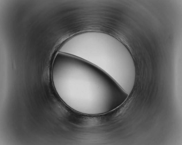 X0000088430349200705220859