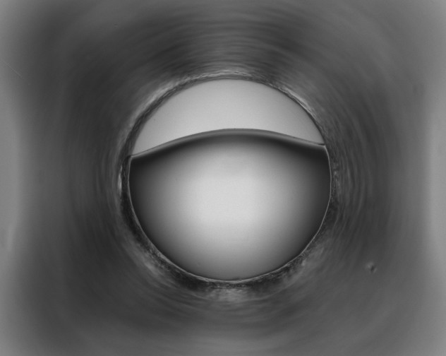 X0000088430350200705220859
