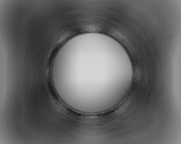 X0000088430355200705220859