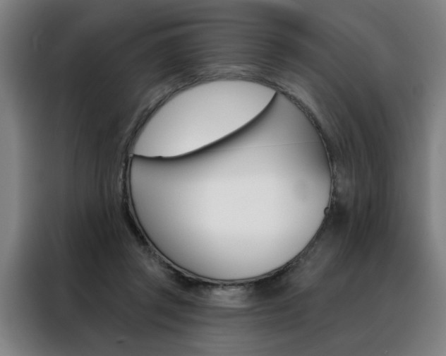 X0000088430357200705220859