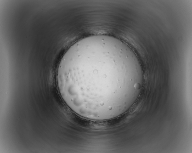 X0000088430359200705220859