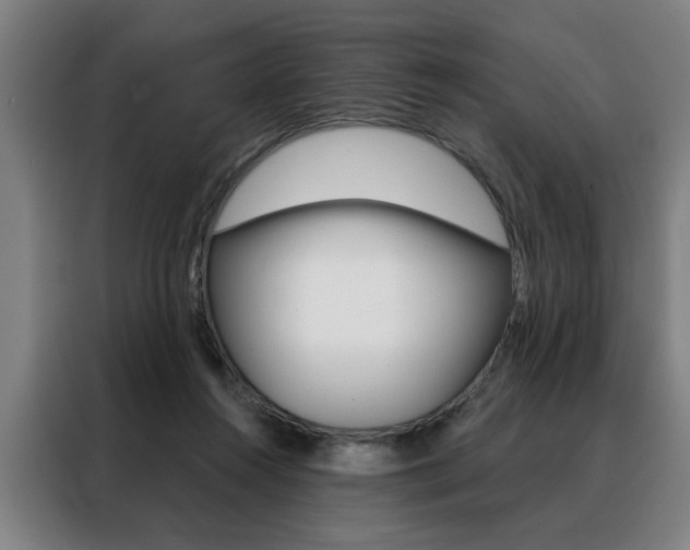X0000088430360200705220859