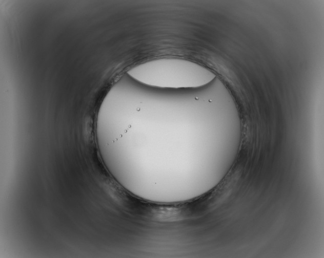 X0000088430361200705220859