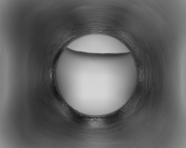 X0000088430363200705220859