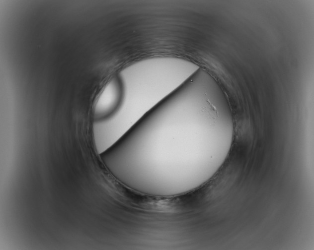 X0000088430365200705220859