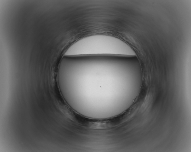 X0000088430366200705220859